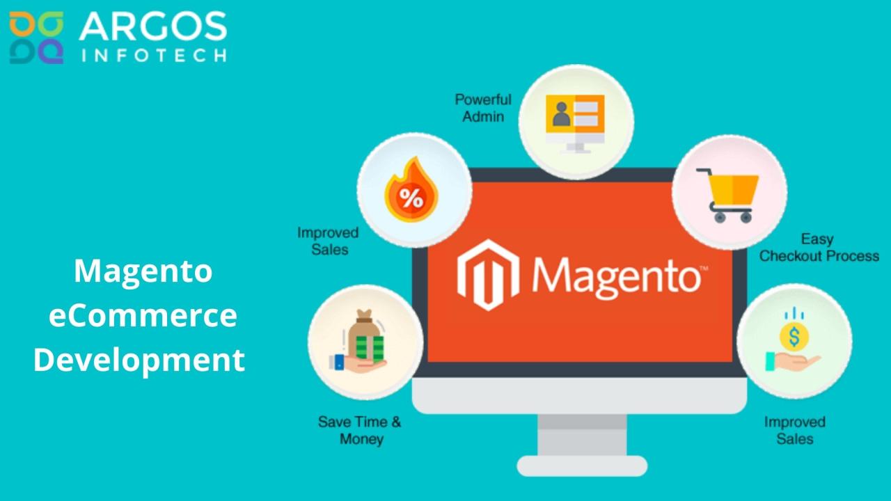 Magento development ecommerce solutions
